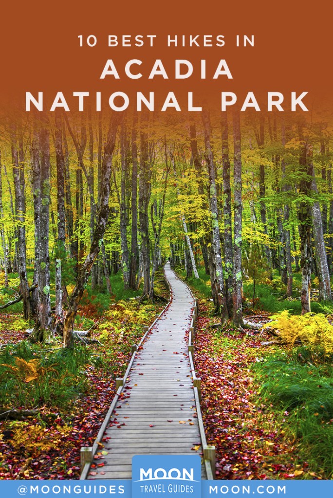 trail pathway with fall foliage in acadia national park