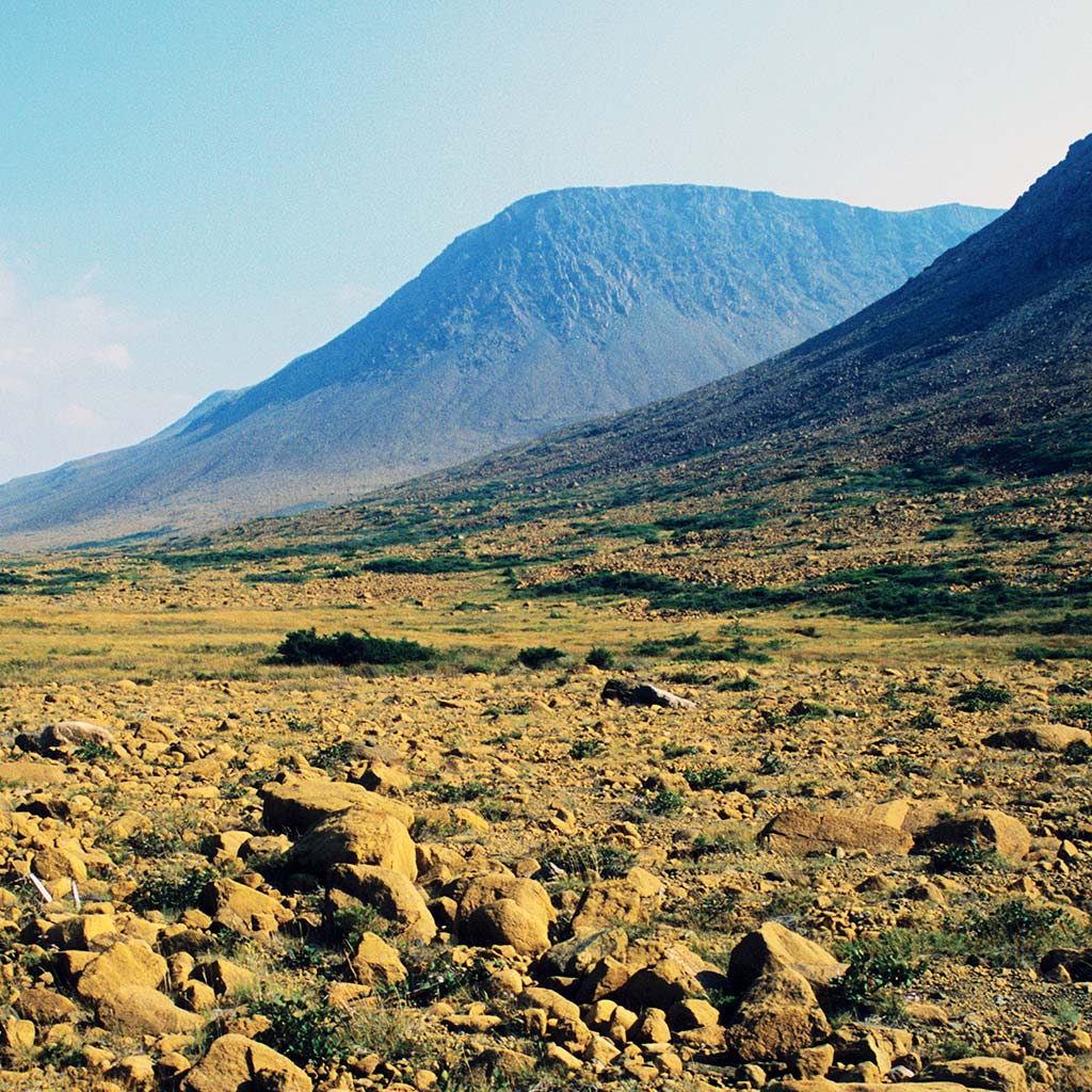 rocky and mountainous landscape in New Foundland