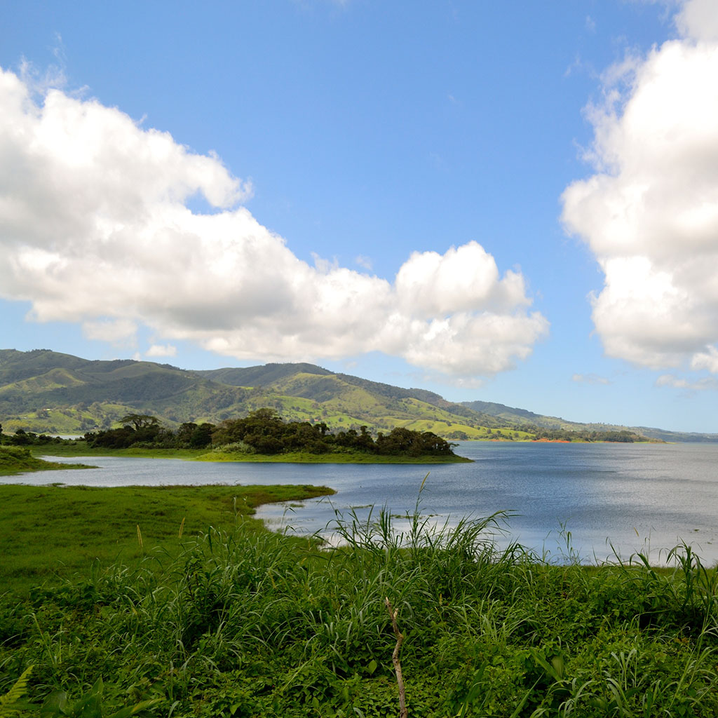 Lush grasses grow at the edge of Costa Rica's Lake Arenal.