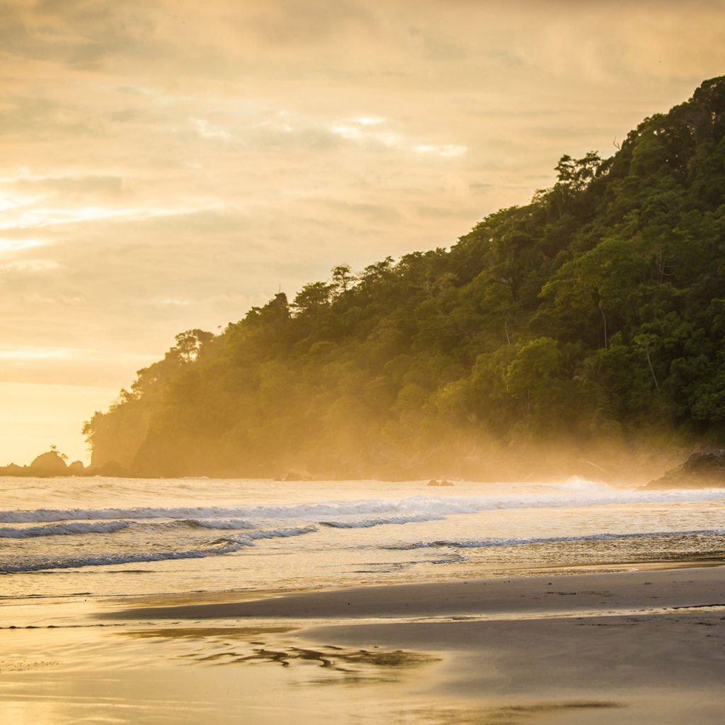 sunset over rolling rolling waves on a sandy beach with jungle in the background