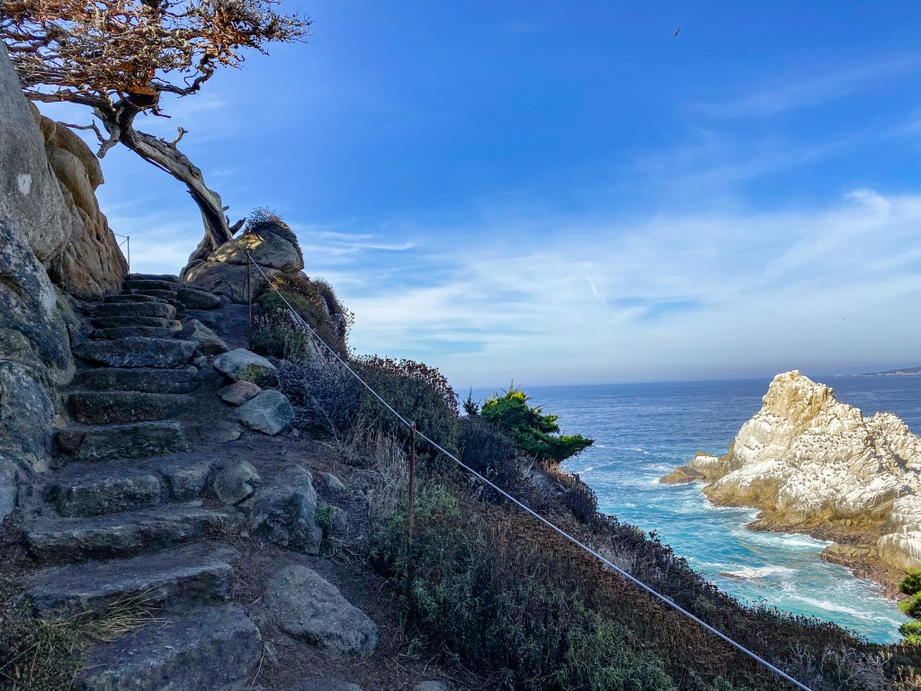 A hiking trail of stone steps up a cliff leading to cypress tree overlooking blue ocean.