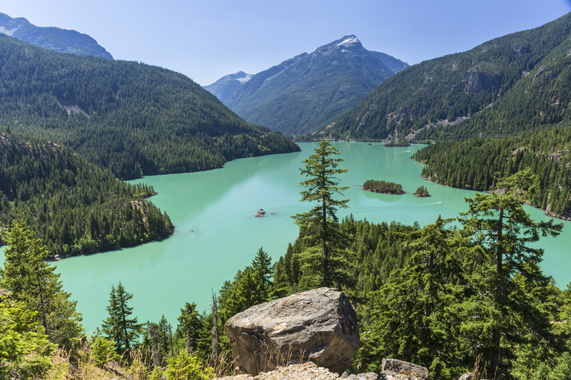 Image overlooking a forest and mountains surrounding a turquoise alpine lake.