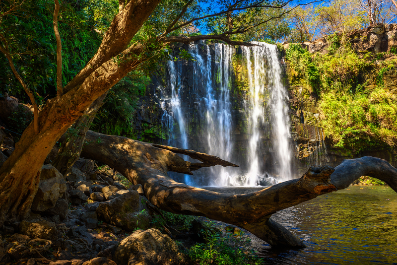 A sunlit waterfall in the jungle.
