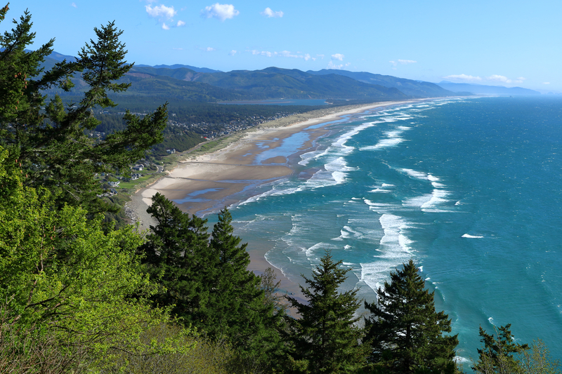 Image of curving ocean coast with green forests.