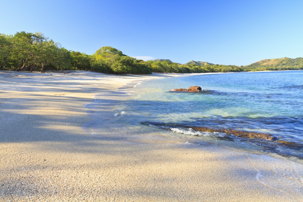 a sunny, sandy beach with green low lying trees in the background and clear, teal water in the foreground