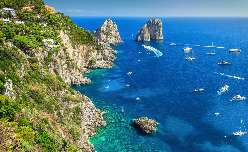 a view off of a sheer cliffside overlooking the deep blue waters off the coast of lush capri, with sailboats and cruise ships dotting the bay
