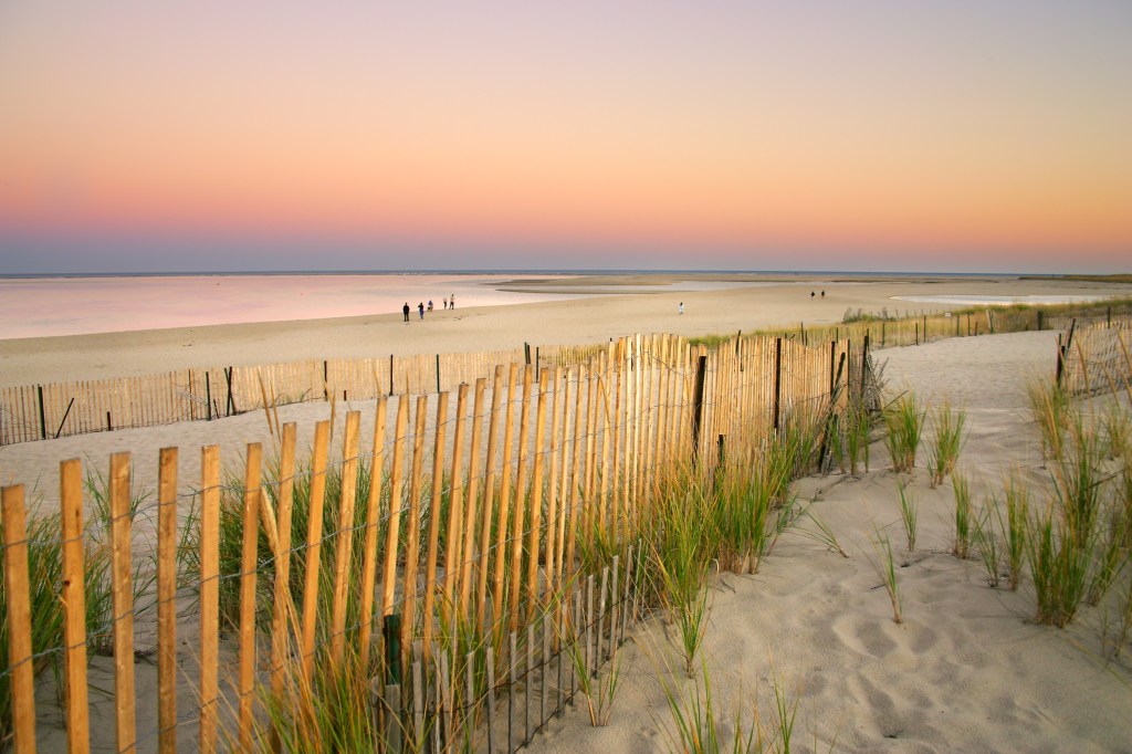 a beach in cape cod at sunset with a pink hazy sky and wood slat fences / sea grass in the foreground