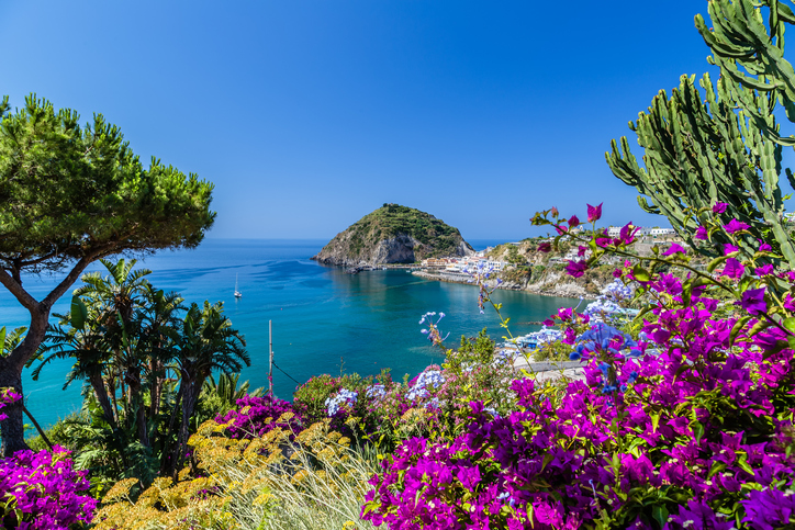 Bougainvillea views on the island of Ischia.