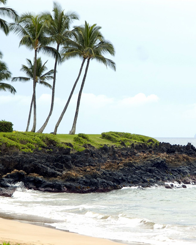 Beaches in south Kihei and Wailea have the best chance of being sunny and calm in the afternoon.