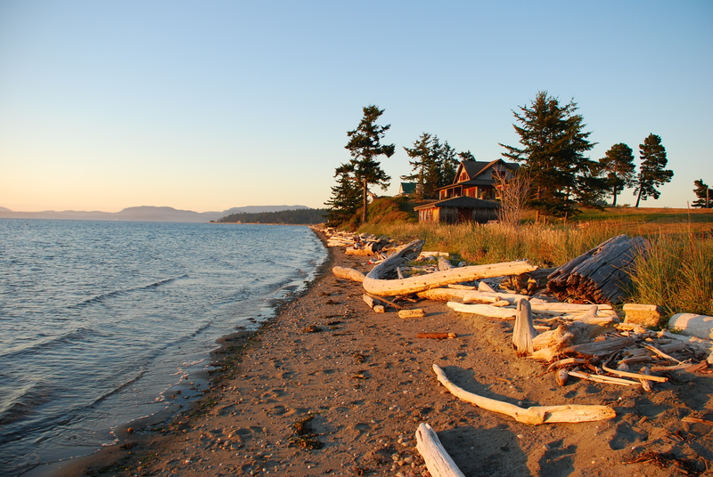 Image of beach with driftwood glowing golden at sunset with rustic wooden house and trees in the background.