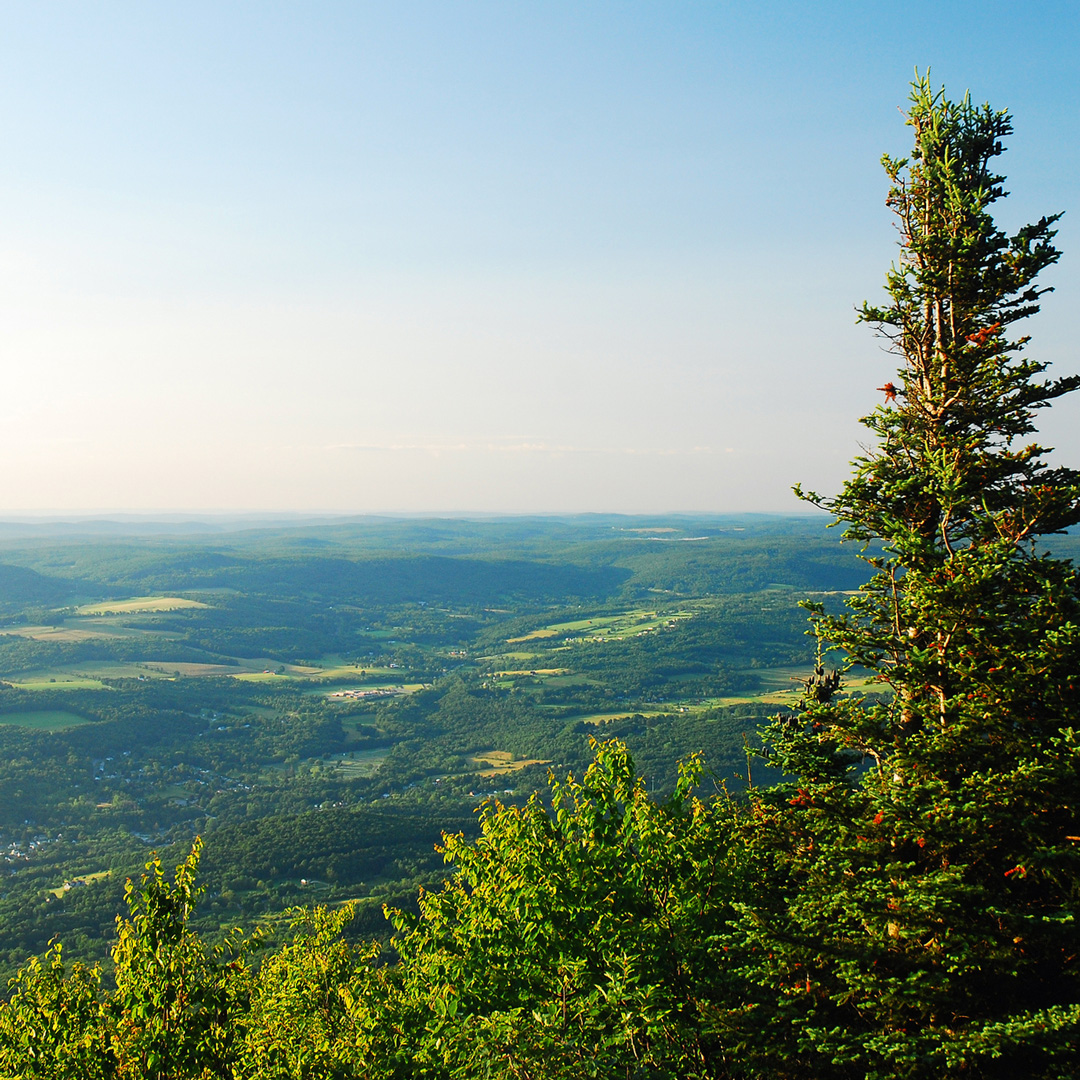 view of green landscape from atop a mountain