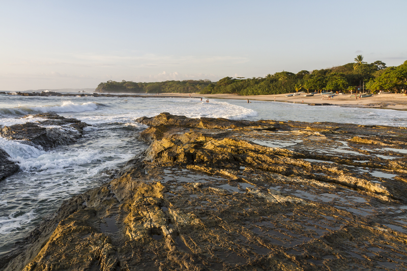 Image of rocky tide pools and tree-lined beach at sunset.