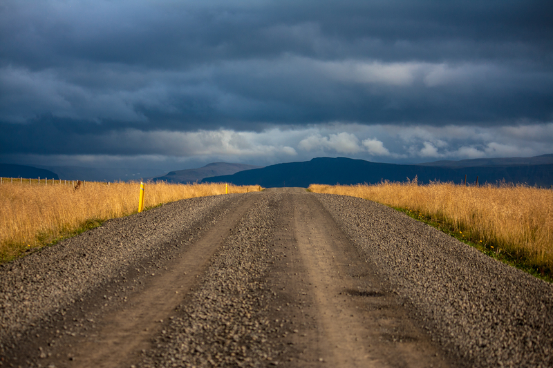 Rough gravel road leading between golden fields of grass under dark stormy skies