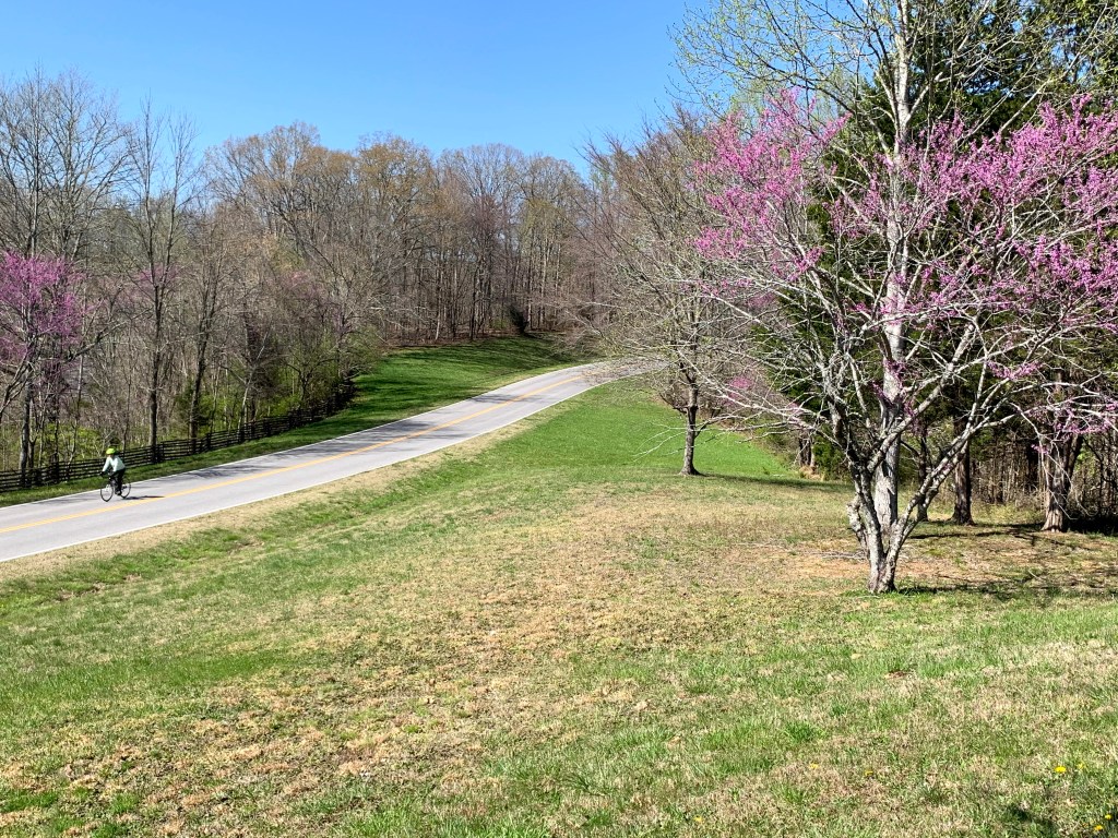 biking the Natchez Trace Parkway in spring